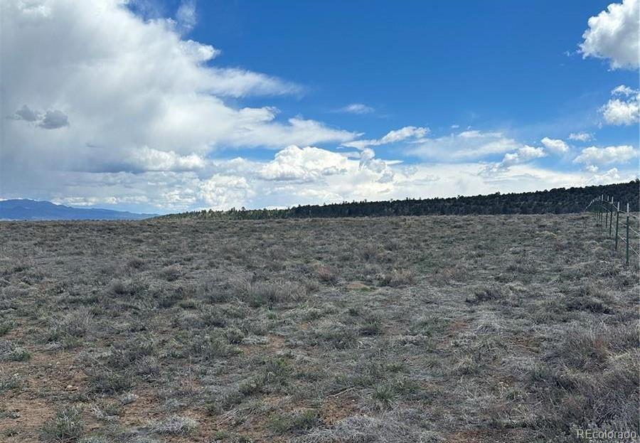 000 County Road 270 Lot 3, Nathrop, CO 81236