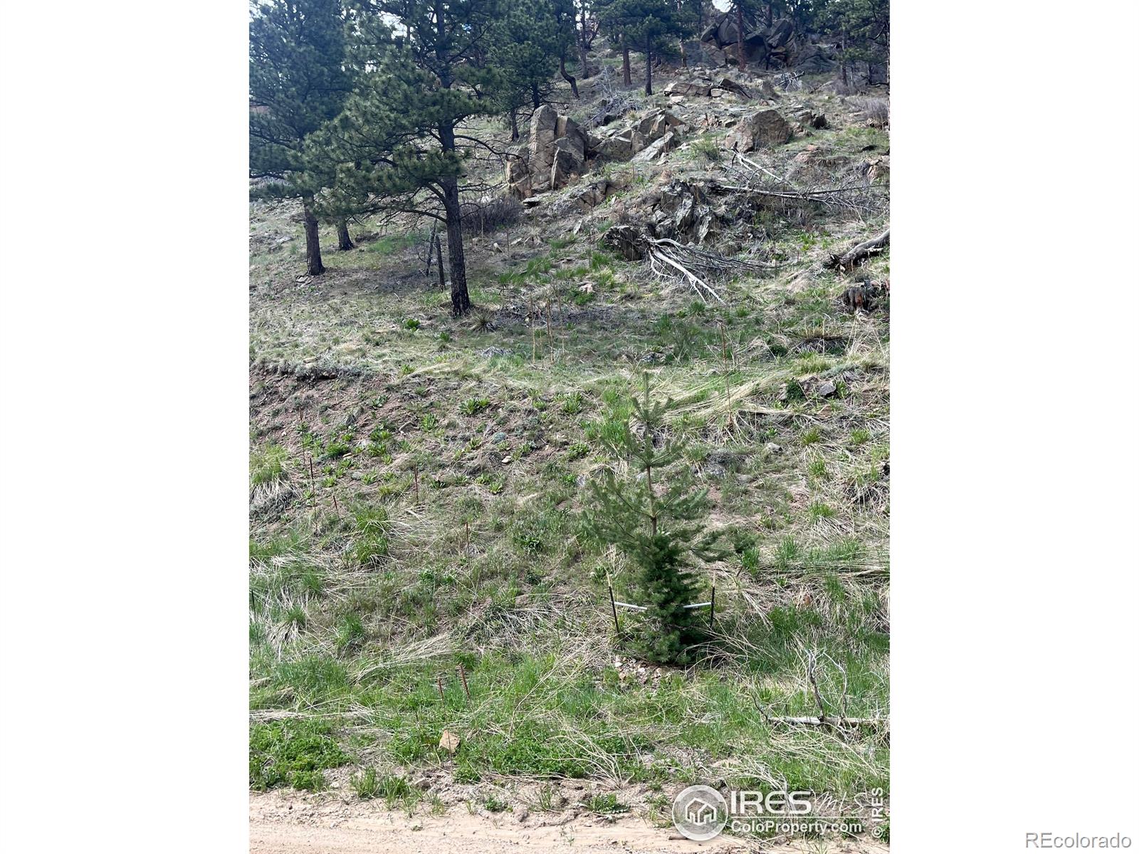 7400 Fourmile Canyon Dr, Boulder, CO 80302