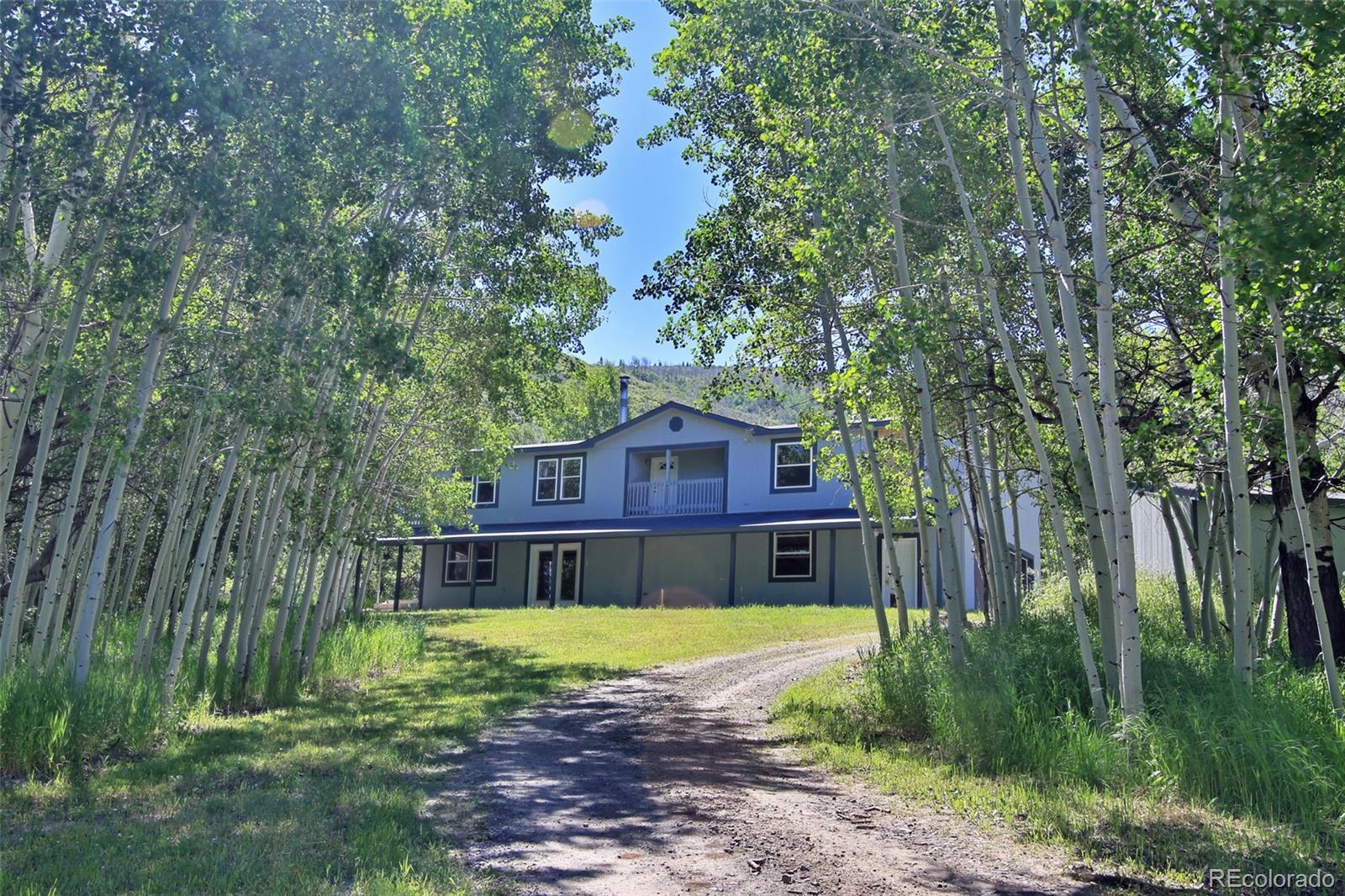 10396 60 3/4 Rd, Collbran, CO 81624