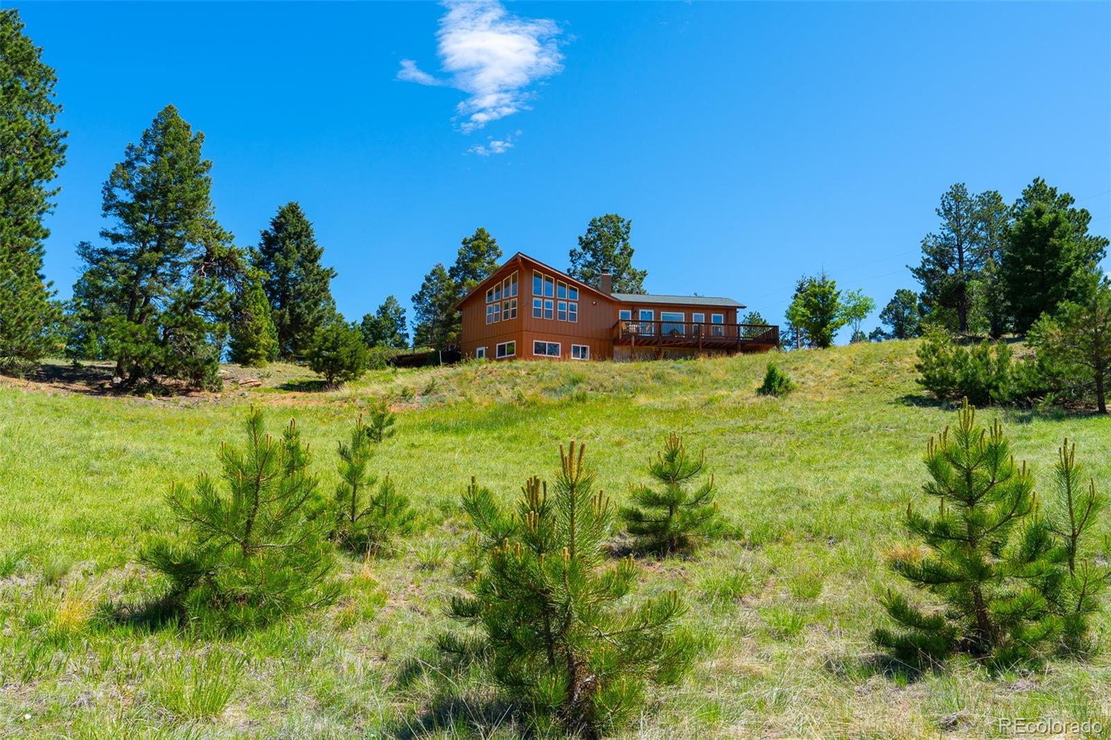 1400 Lower Twin Rocks Rd, Florissant, CO 80816