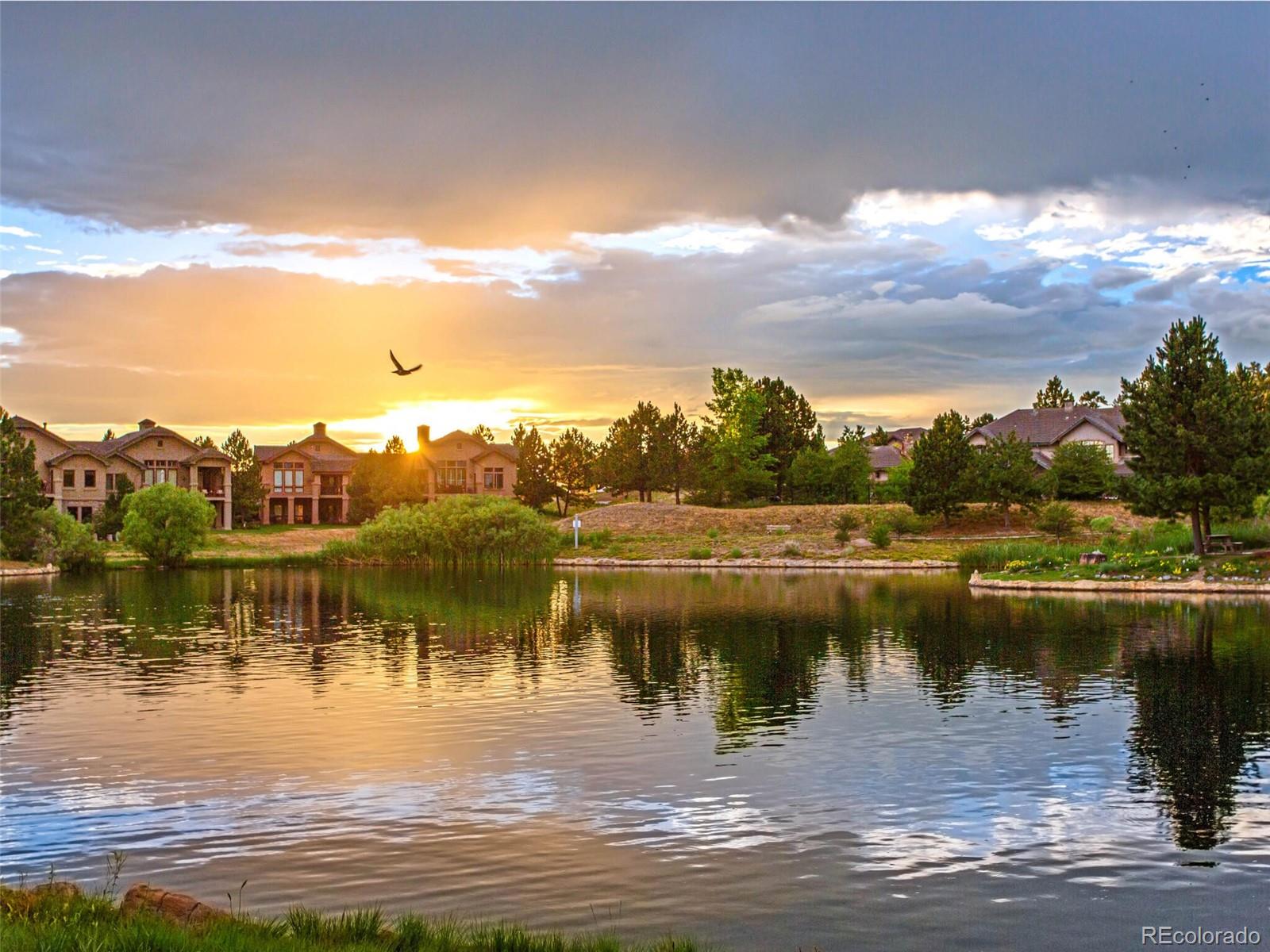 1073 Country Club Estates Dr, Castle Rock, CO 80108