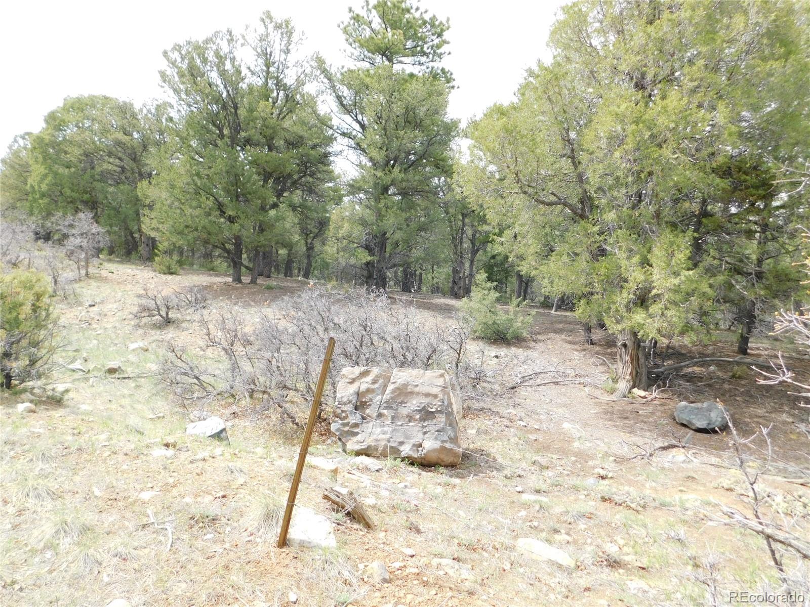 0000 Forest Ln Lot AK, Howard, CO 81233