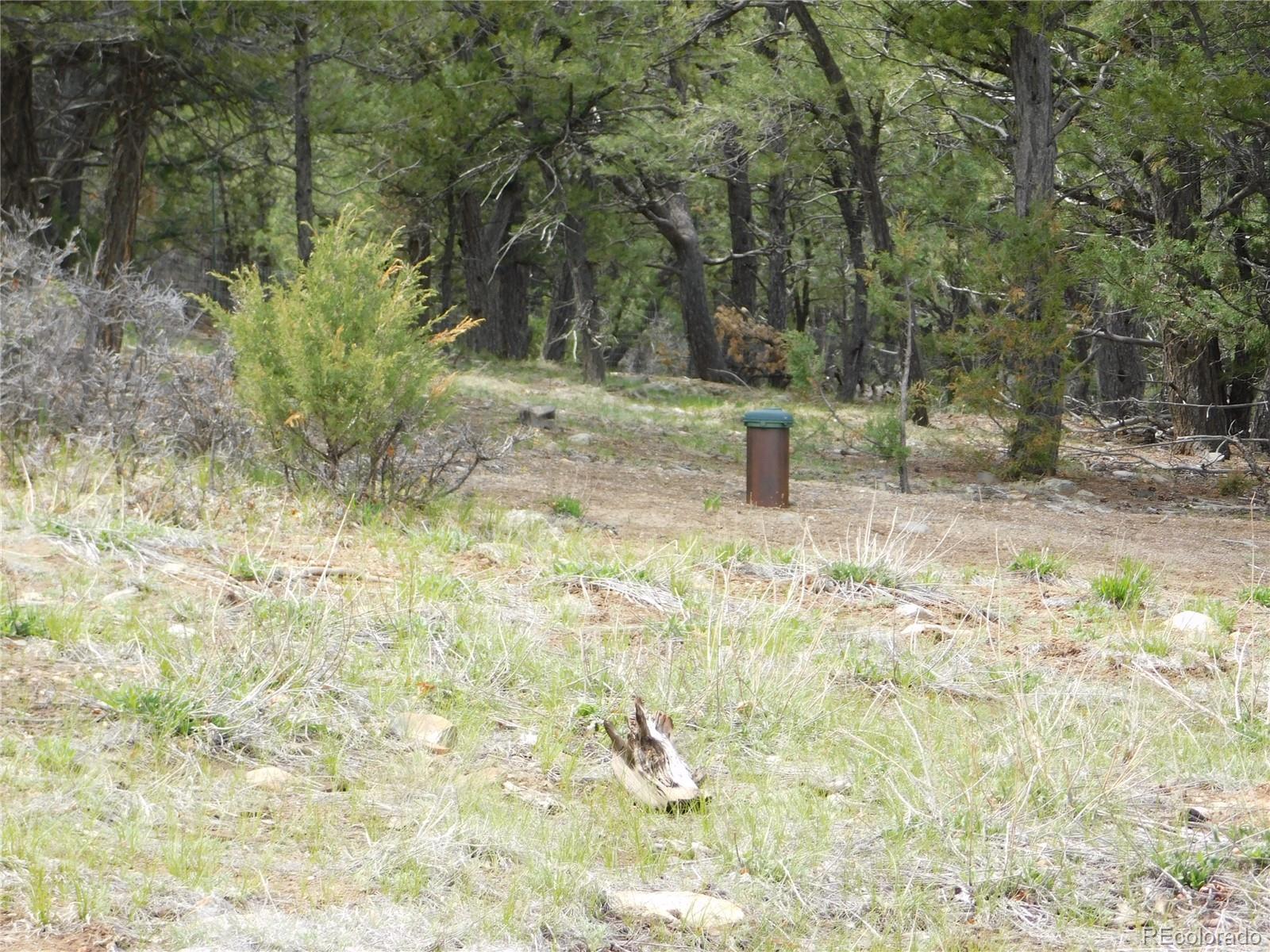 0000 Forest Ln Lot AK, Howard, CO 81233