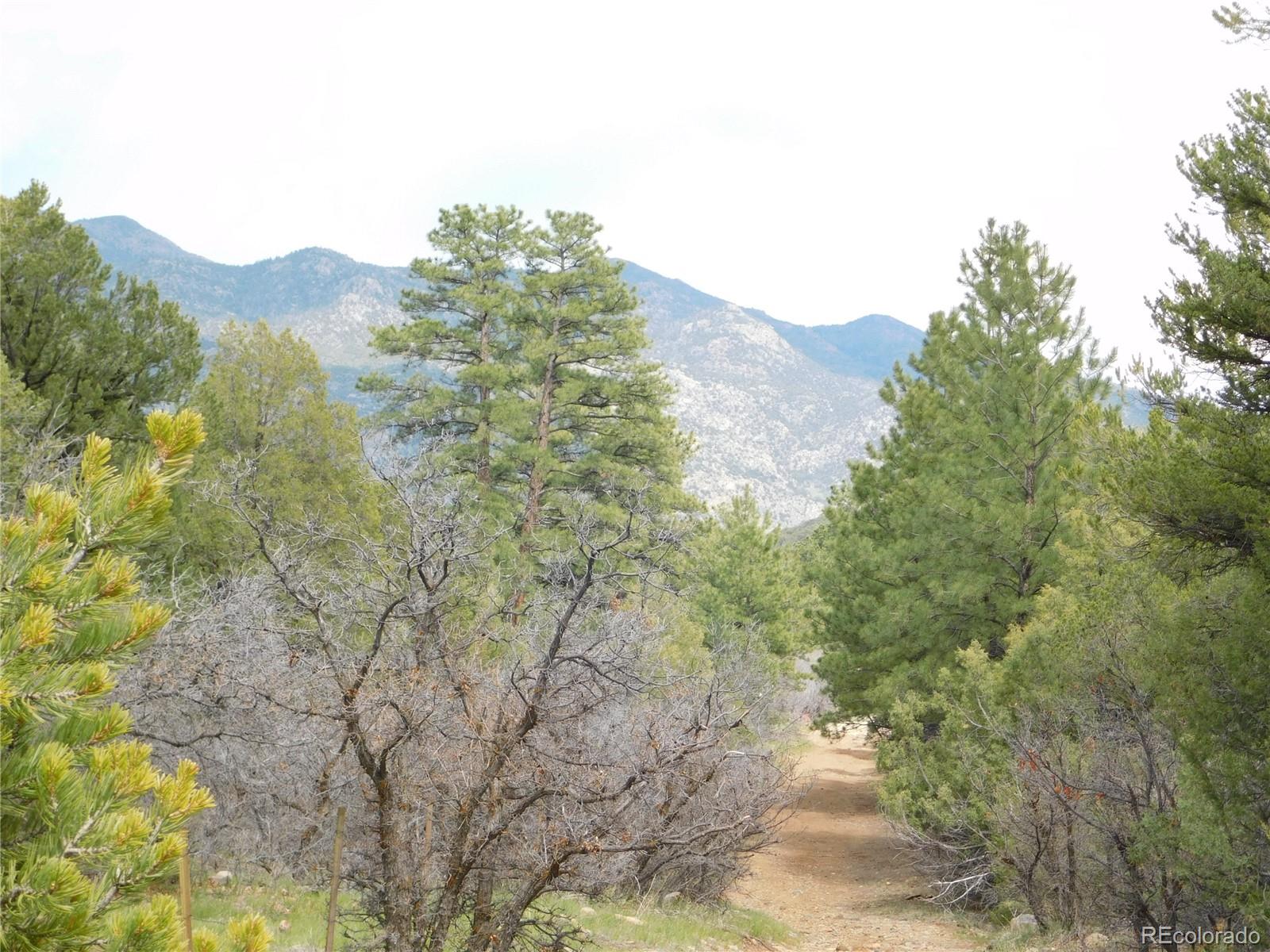 0000 Forest Ln Lot AK, Howard, CO 81233