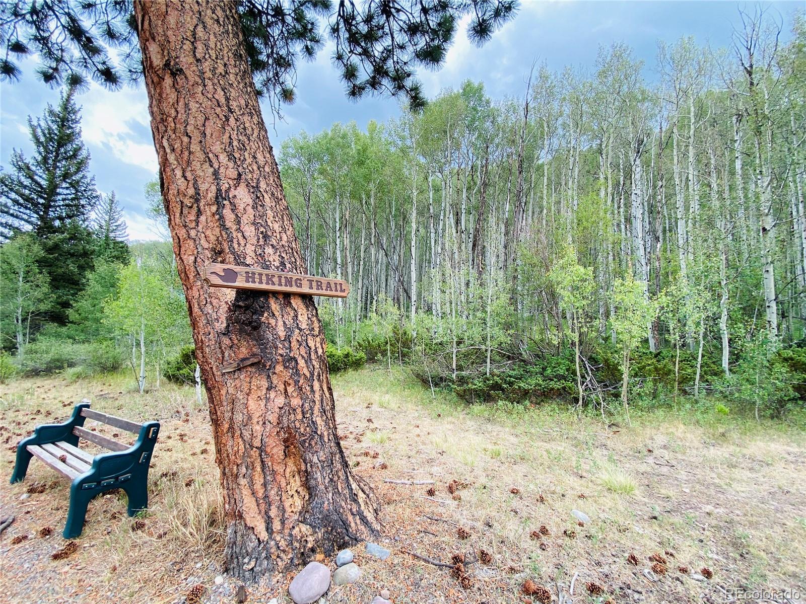 226 Elk Meadow Rn, Antonito, CO 81120