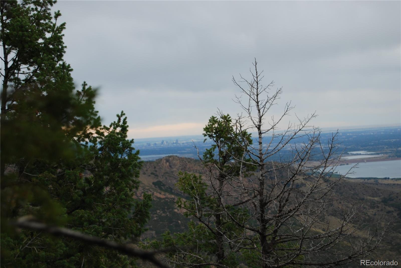 13927 Dancing Bear Trl, Littleton, CO 80127