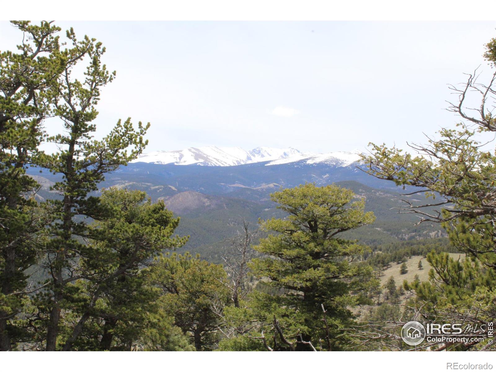 0 Lefthand Canyon Dr, Jamestown, CO 80455