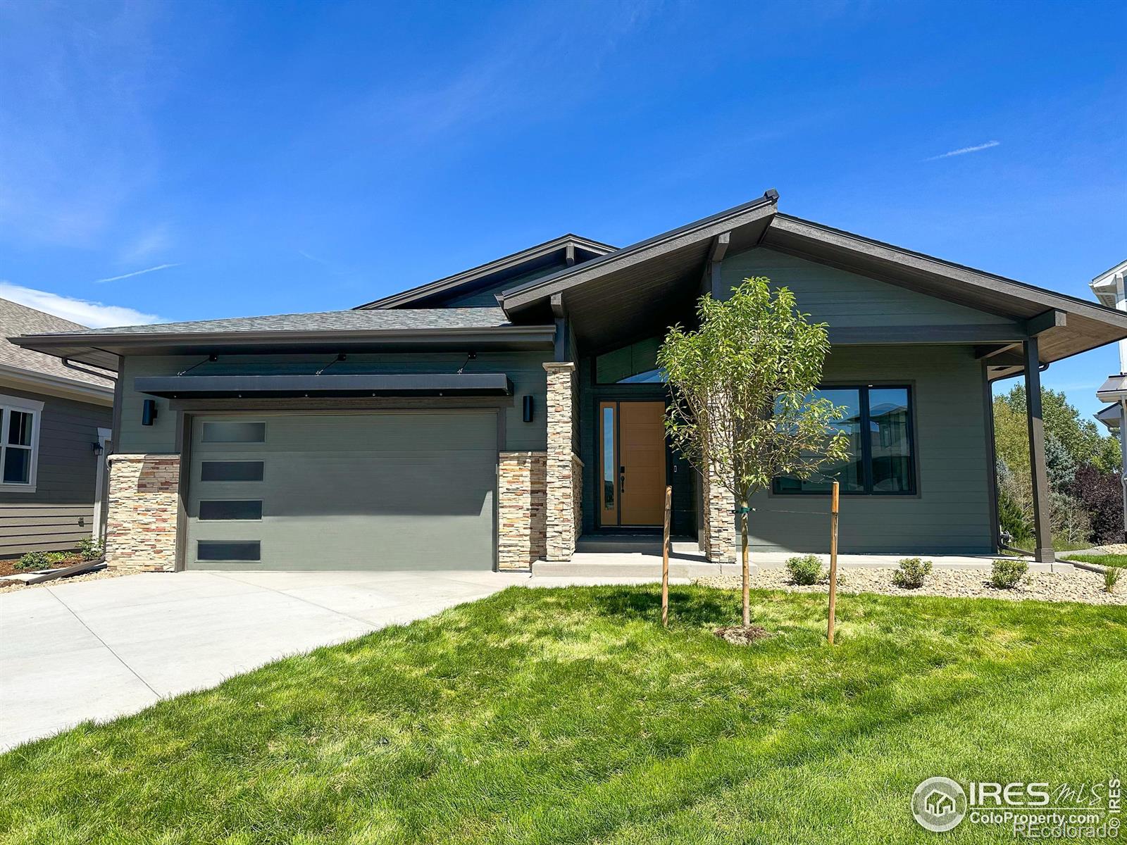 8420 Cromwell Cir, Windsor, CO 80528