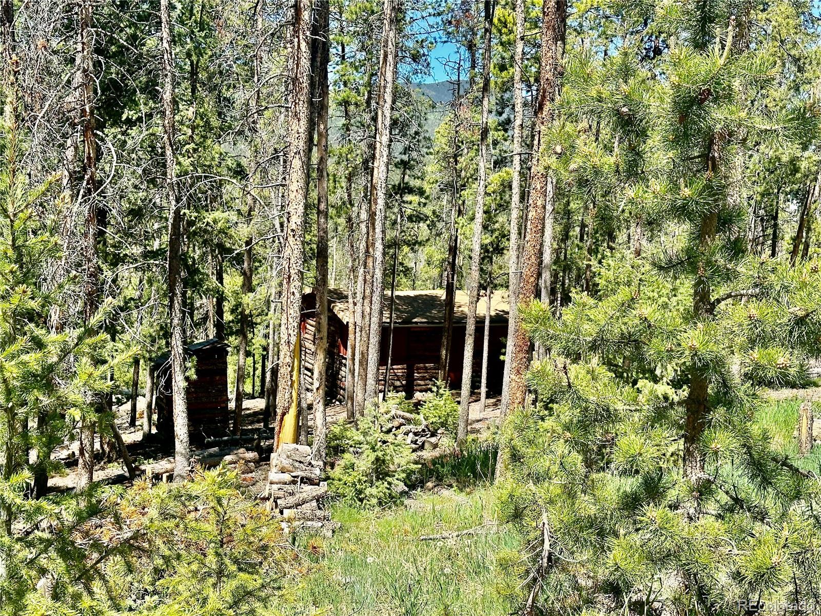 26380 Pleasant Park Rd, Conifer, CO 80433