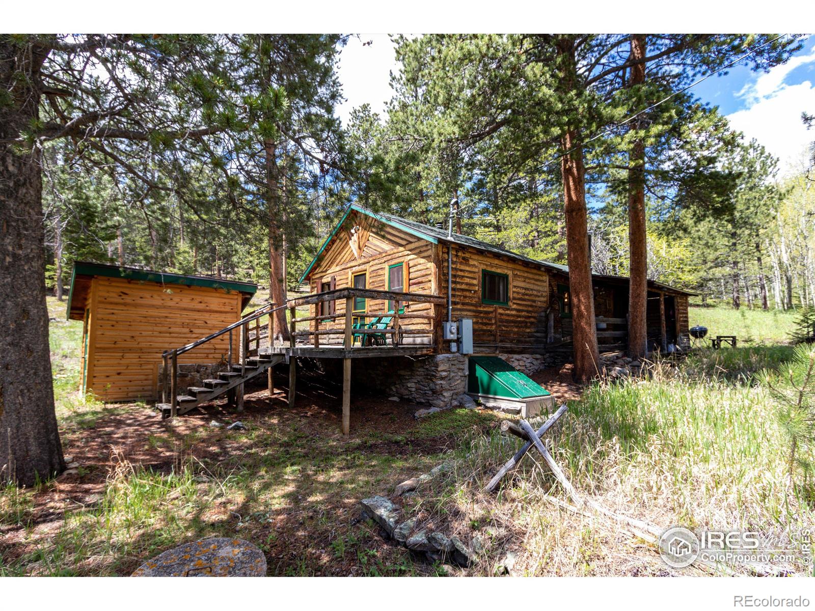 276 Haugen Slide Rd, Allenspark, CO 80510