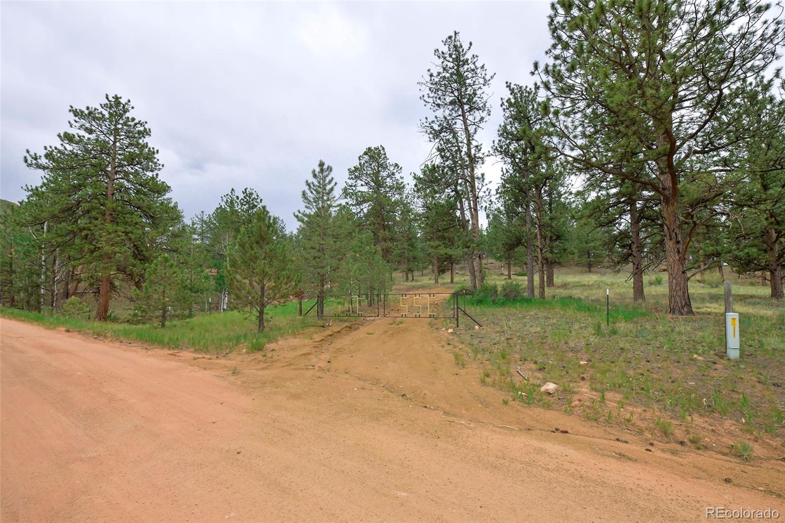 368 Cr 211, Lake George, CO 80827