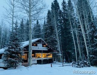 118 Moss Ln, Dumont, CO 80436