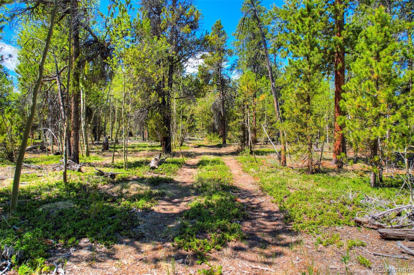 337 Busch Run Rd, Fairplay, CO 80440