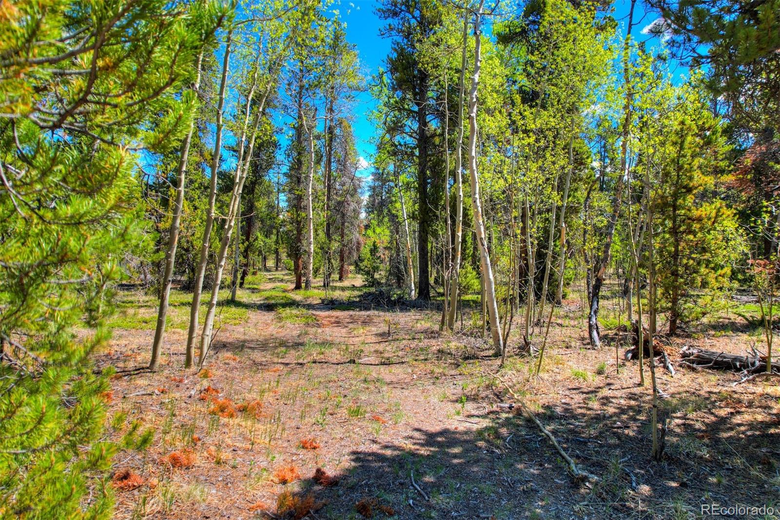 337 Busch Run Rd, Fairplay, CO 80440