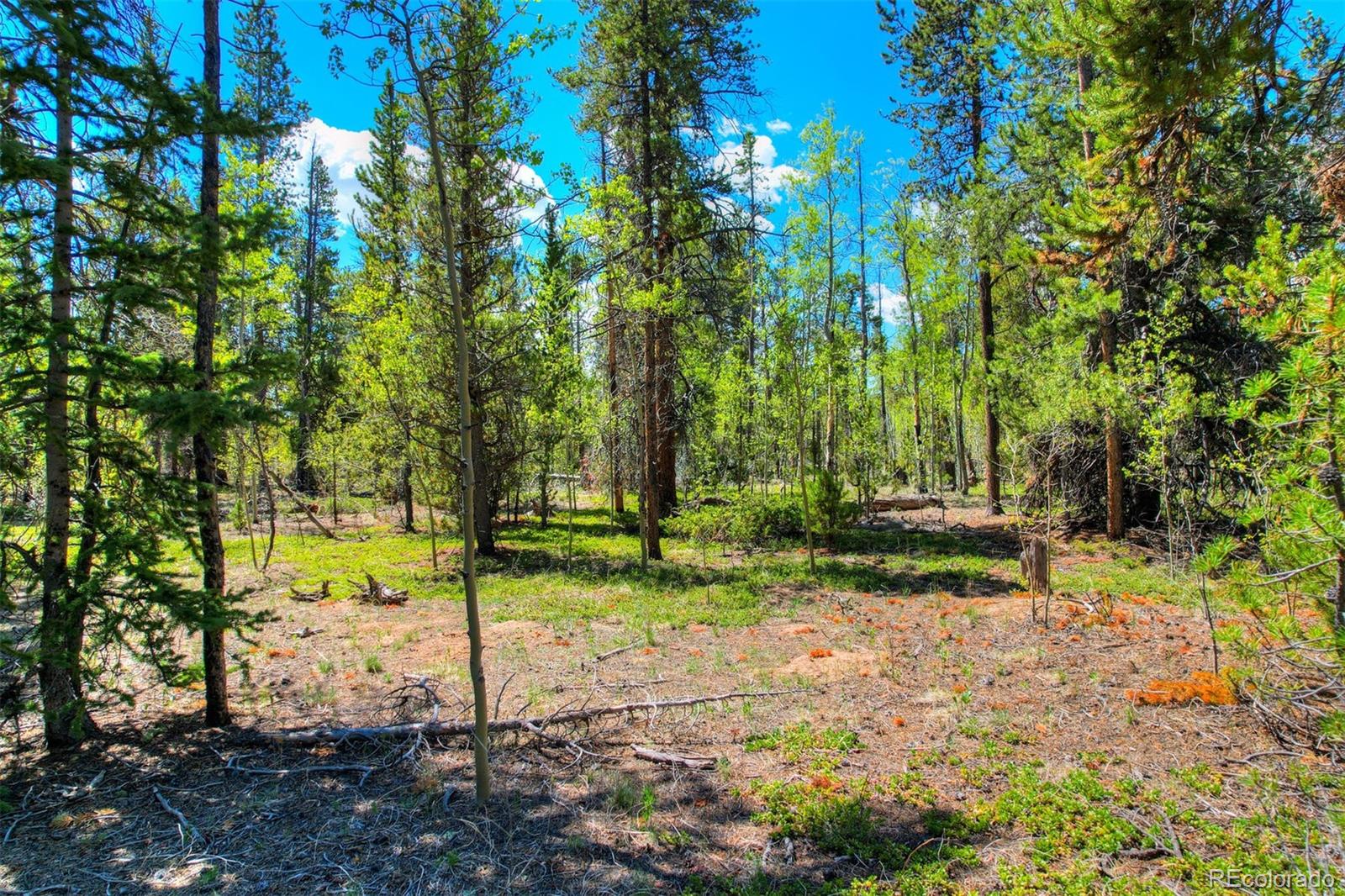 337 Busch Run Rd, Fairplay, CO 80440