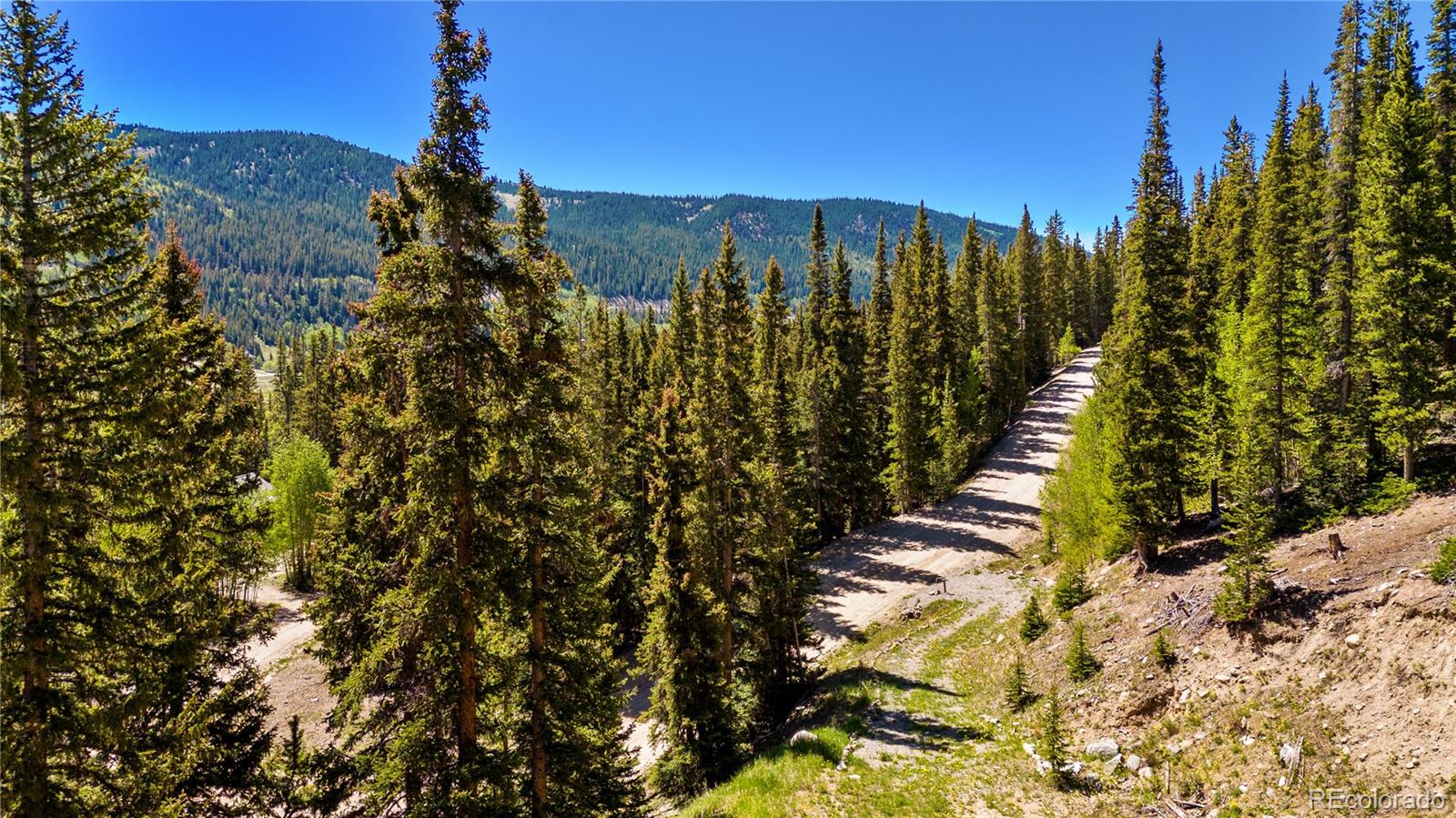 797 Peterson Dr Lot 11, Fairplay, CO 80440