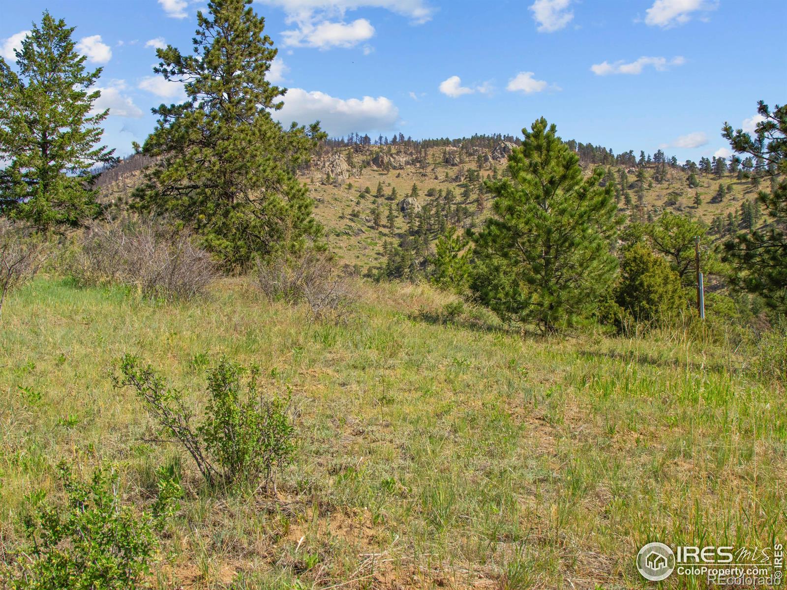 1375 Streamside Dr, Glen Haven, CO 80532