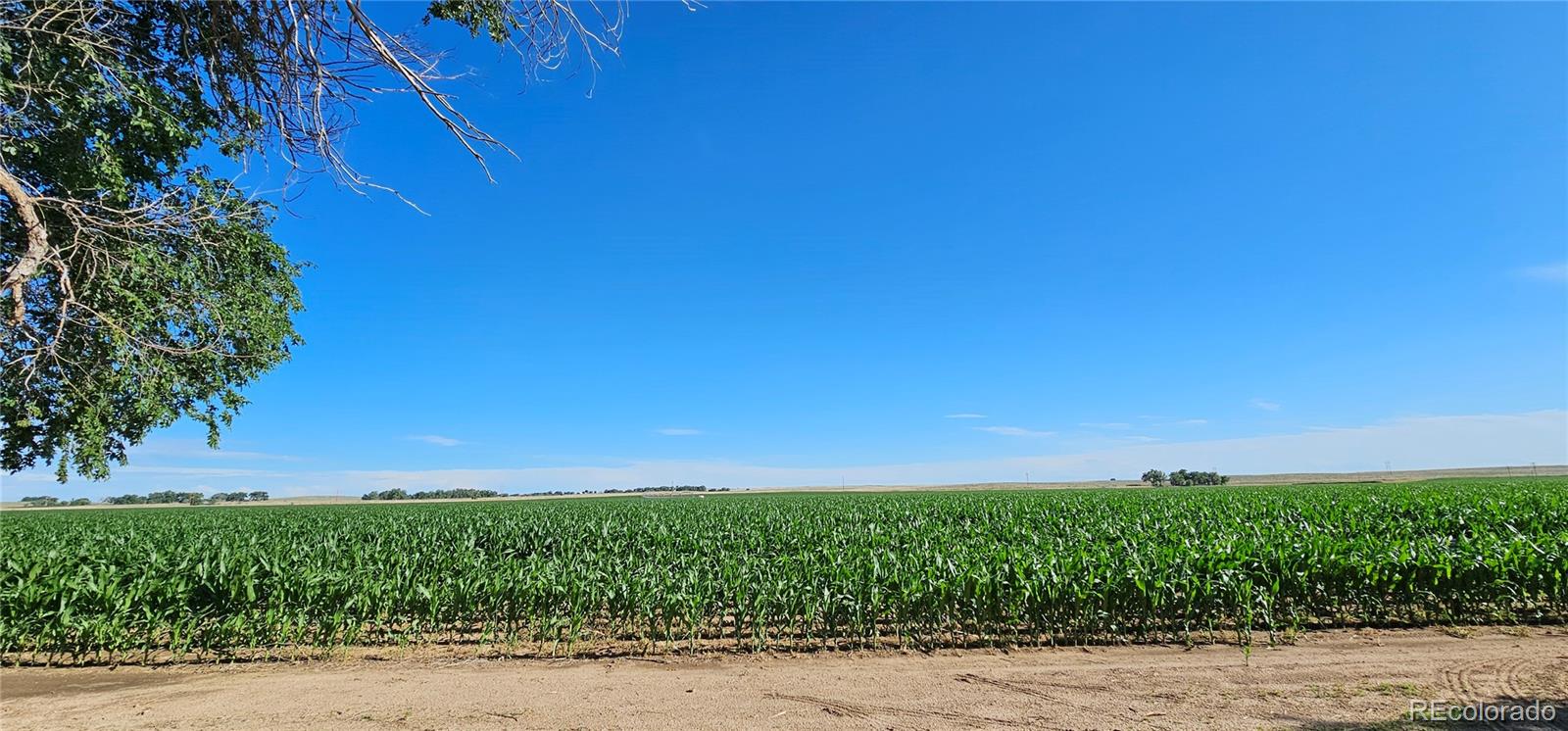 45250 Us Highway 34, Orchard, CO 80649