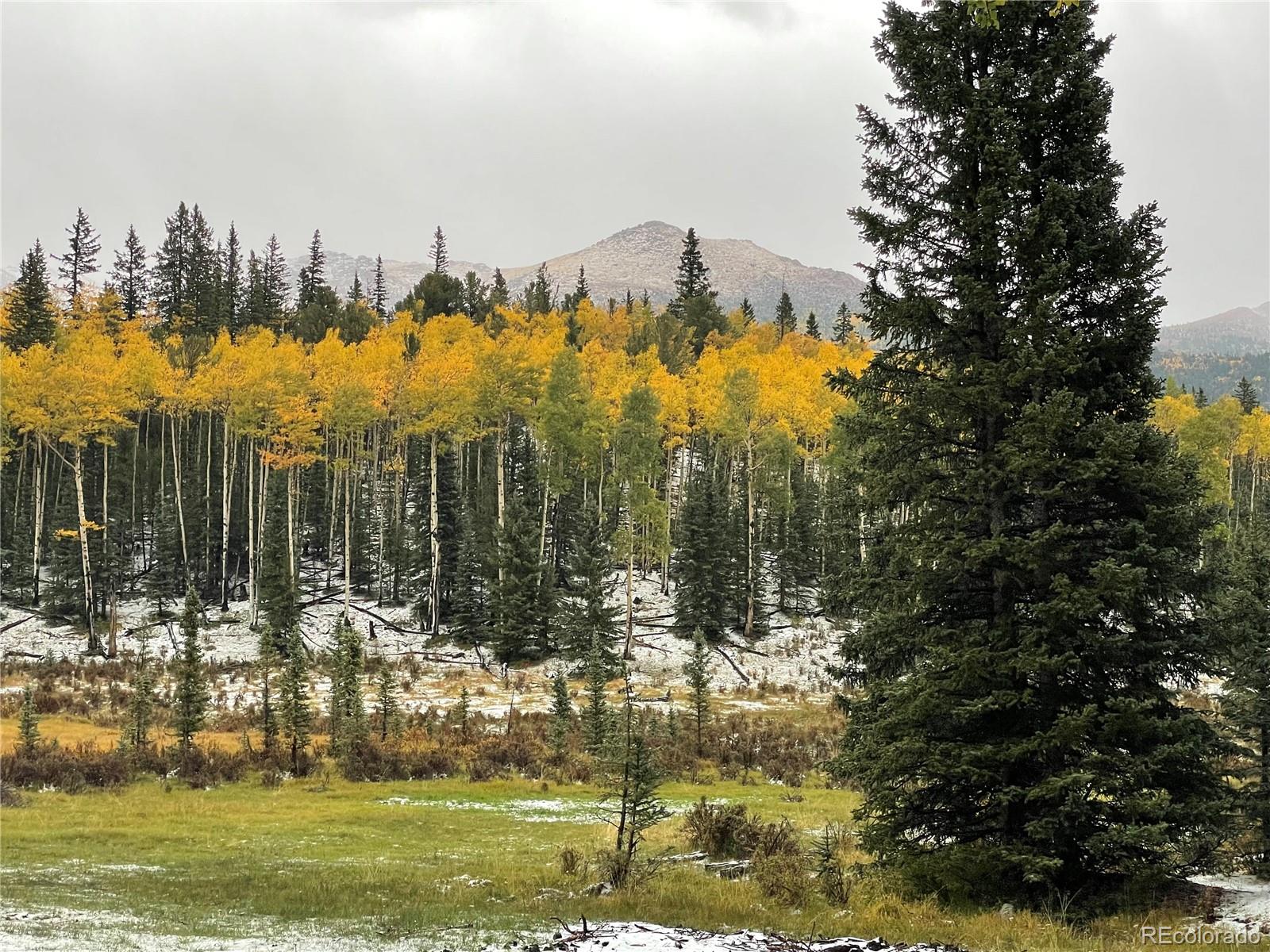 5971 County Rd 8, Victor, CO 80860