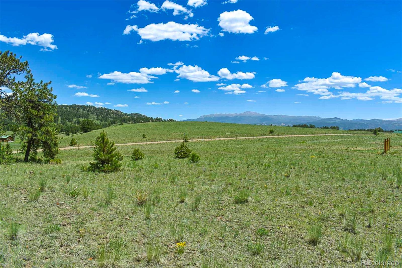 56 View Ln, Guffey, CO 80820