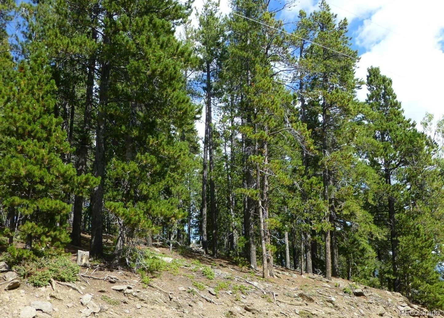 000 Lodgepole Dr, Evergreen, CO 80439