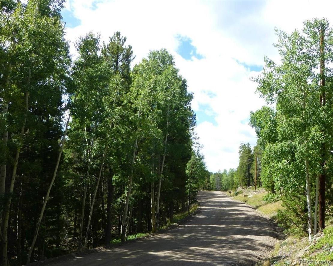 000 Lodgepole Dr, Evergreen, CO 80439