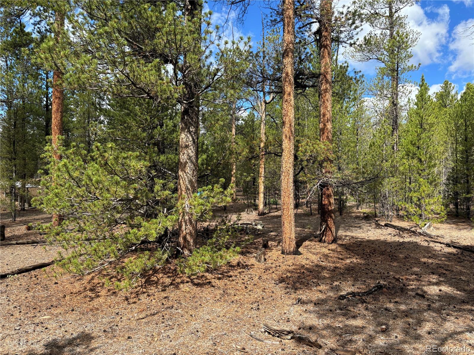 399 Fir Dr Lot 124, Twin Lakes, CO 80461