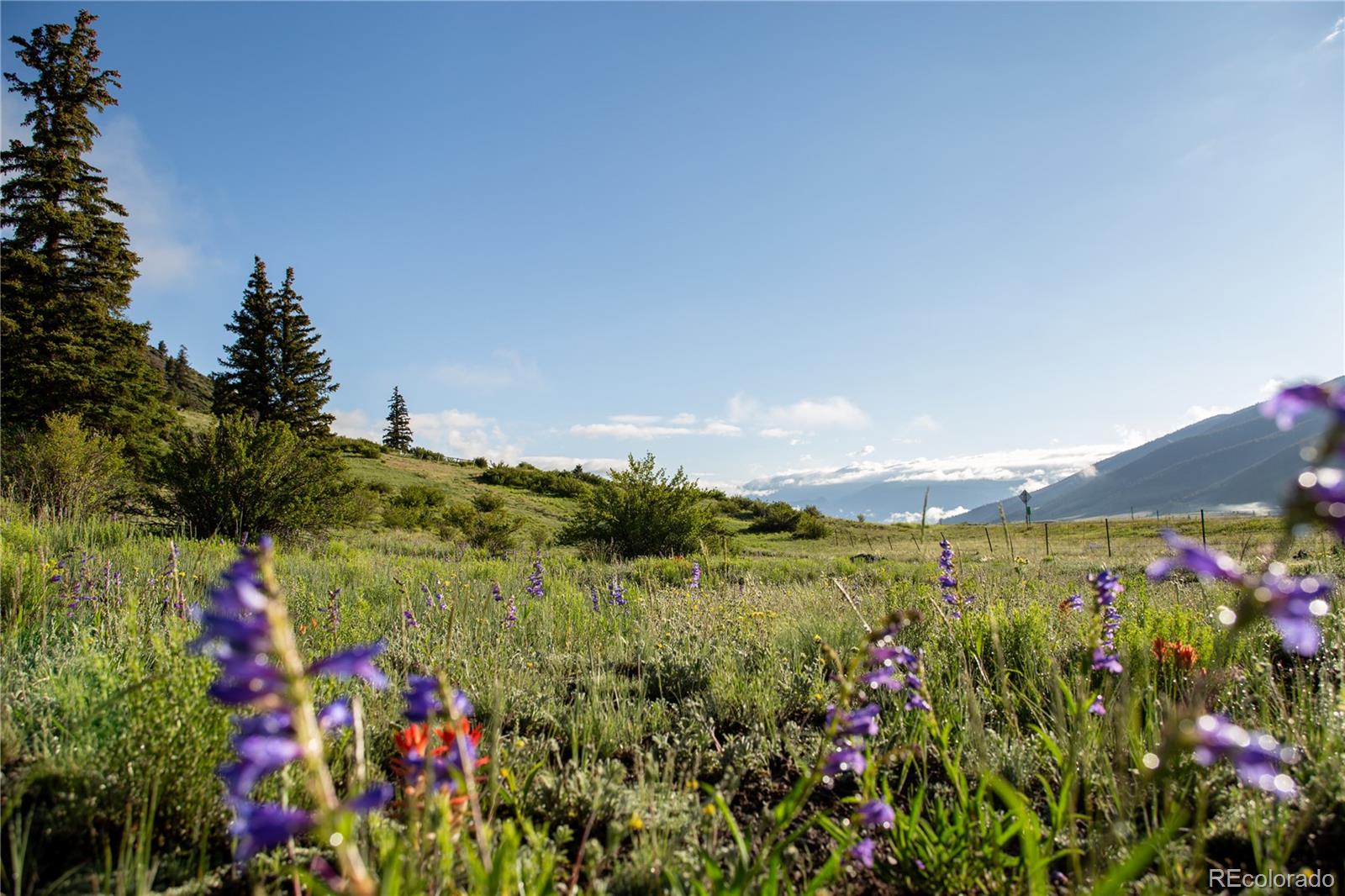 32050 Highway 149, Creede, CO 81130