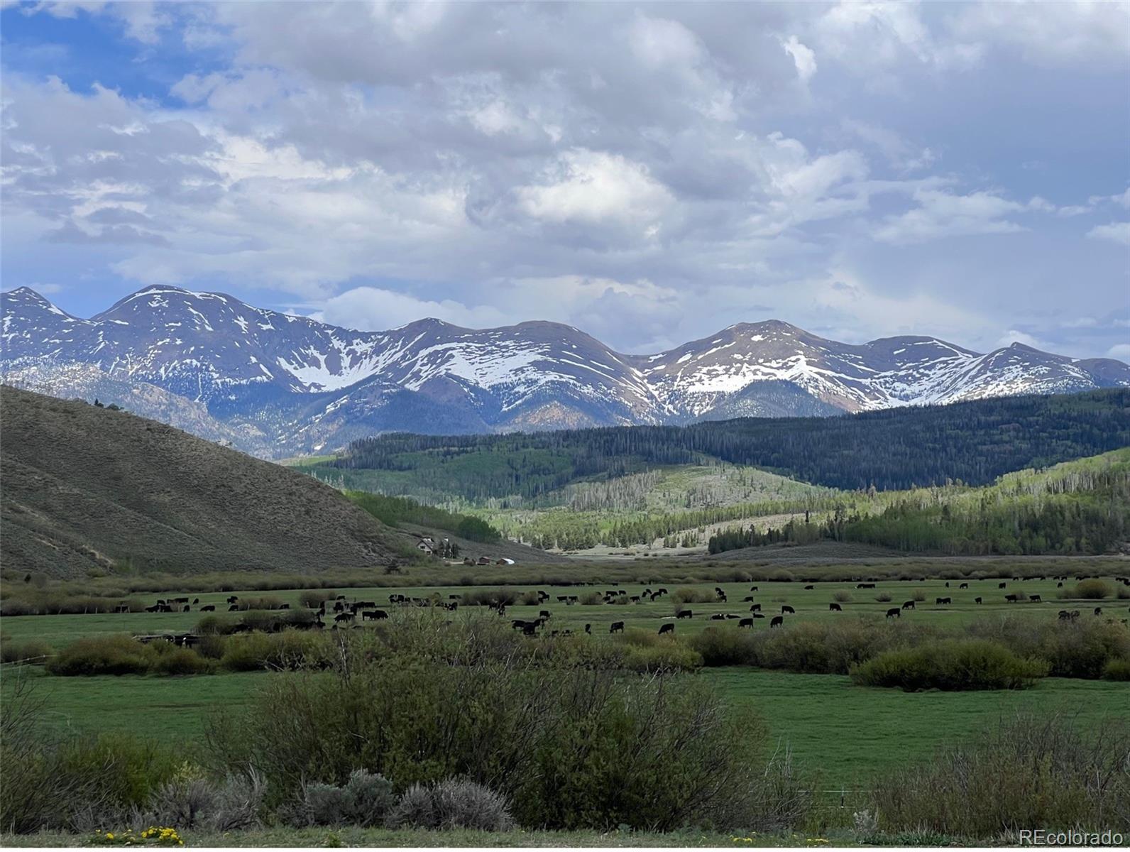 131 Anderson Rd, Walden, CO 80480