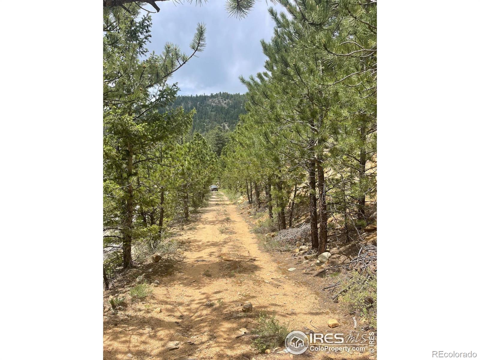 1111 Spruce Dr, Lyons, CO 80540