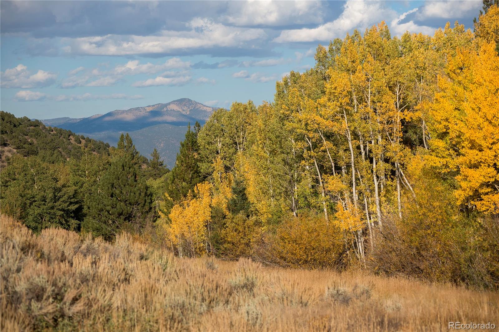 5011 Cr 212, Salida, CO 81201