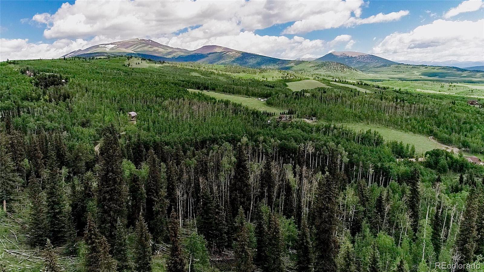 1047 Lumberjack Rd Lot 172, Fairplay, CO 80440