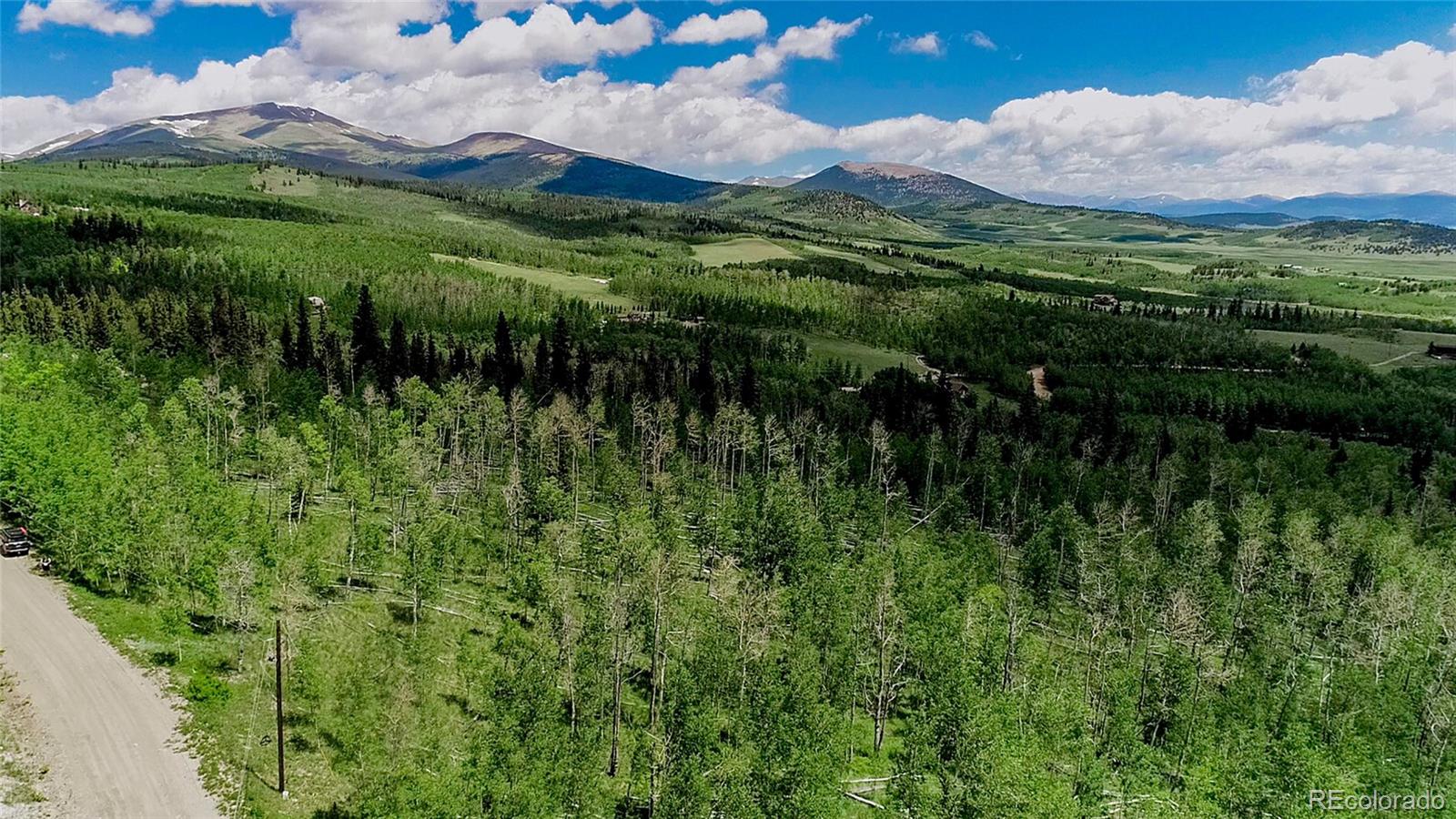 1047 Lumberjack Rd Lot 172, Fairplay, CO 80440