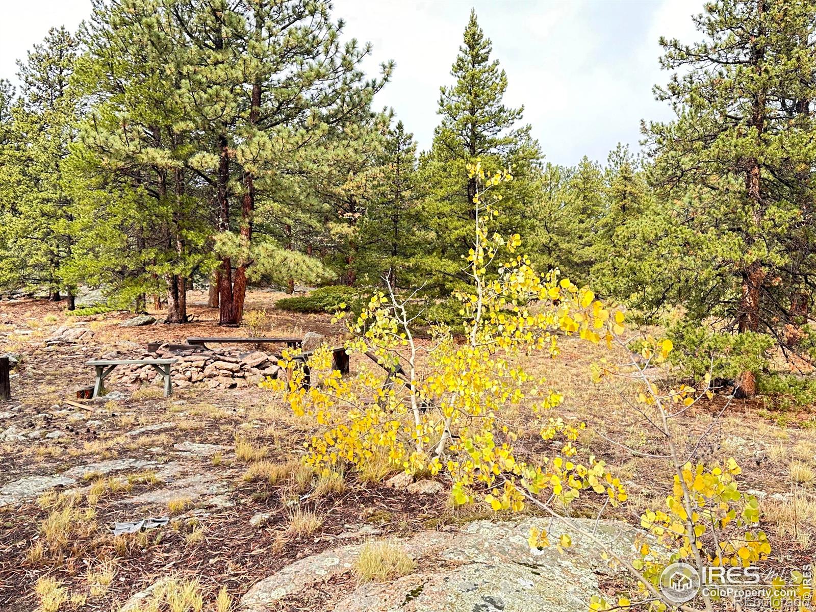 11650 Peak To Peak Hw, Allenspark, CO 80510