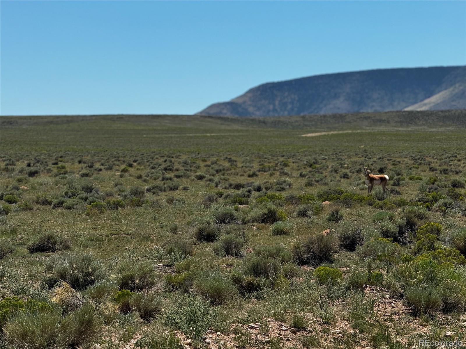 Lot 18 Russ Rd, San Luis, CO 81152
