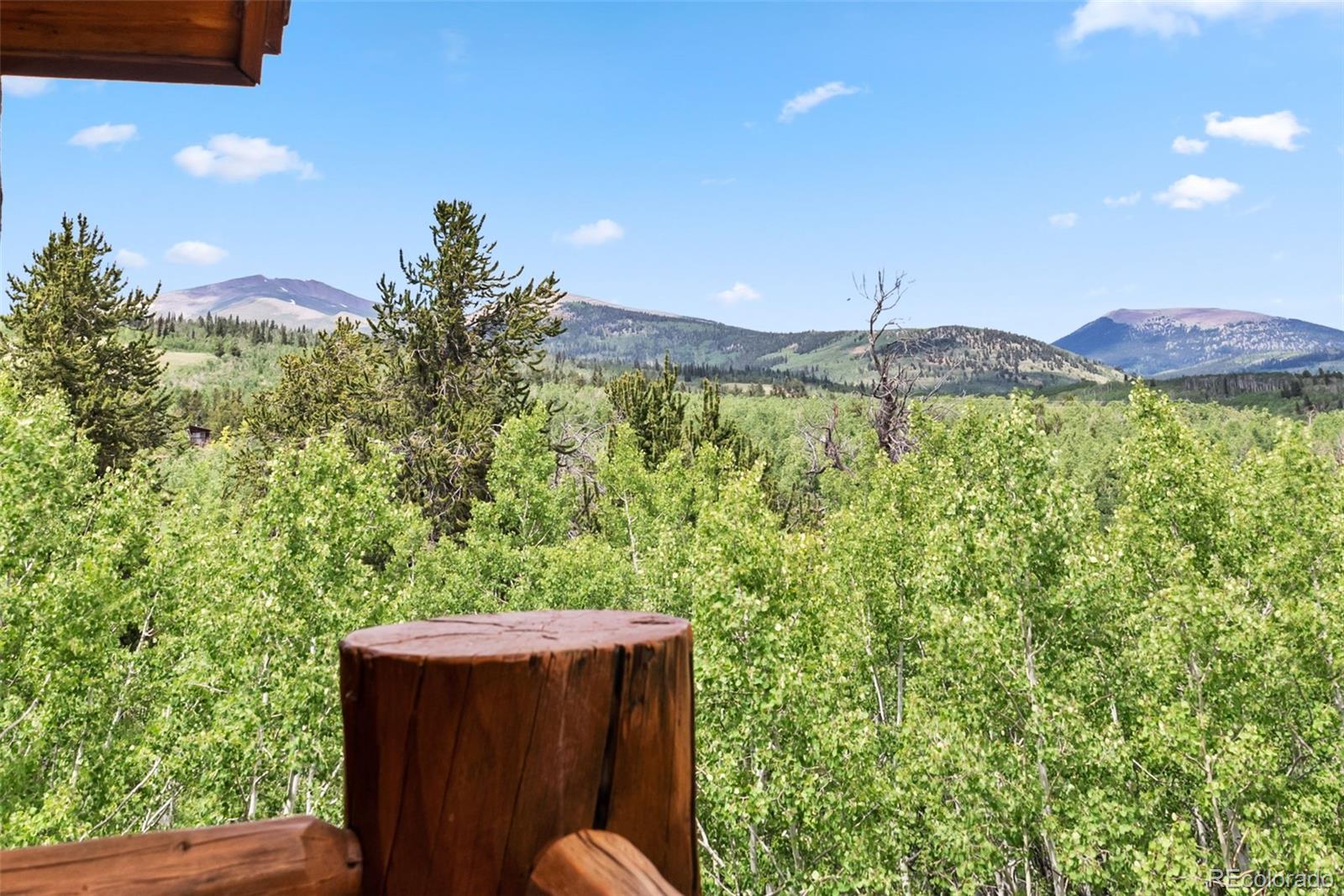655 Iron Mountain Rd, Fairplay, CO 80440