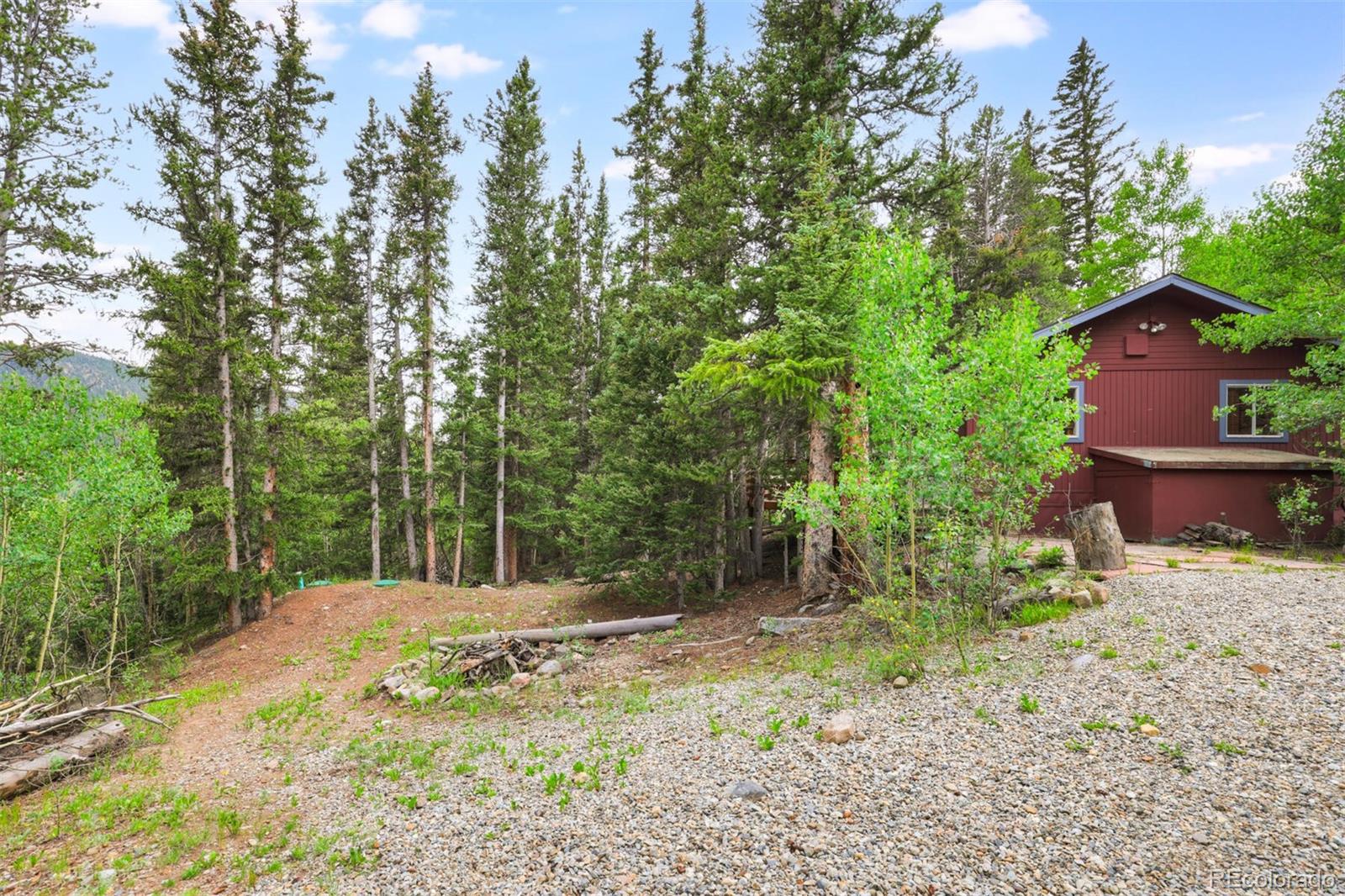 246 Peterson Dr, Alma, CO 80420