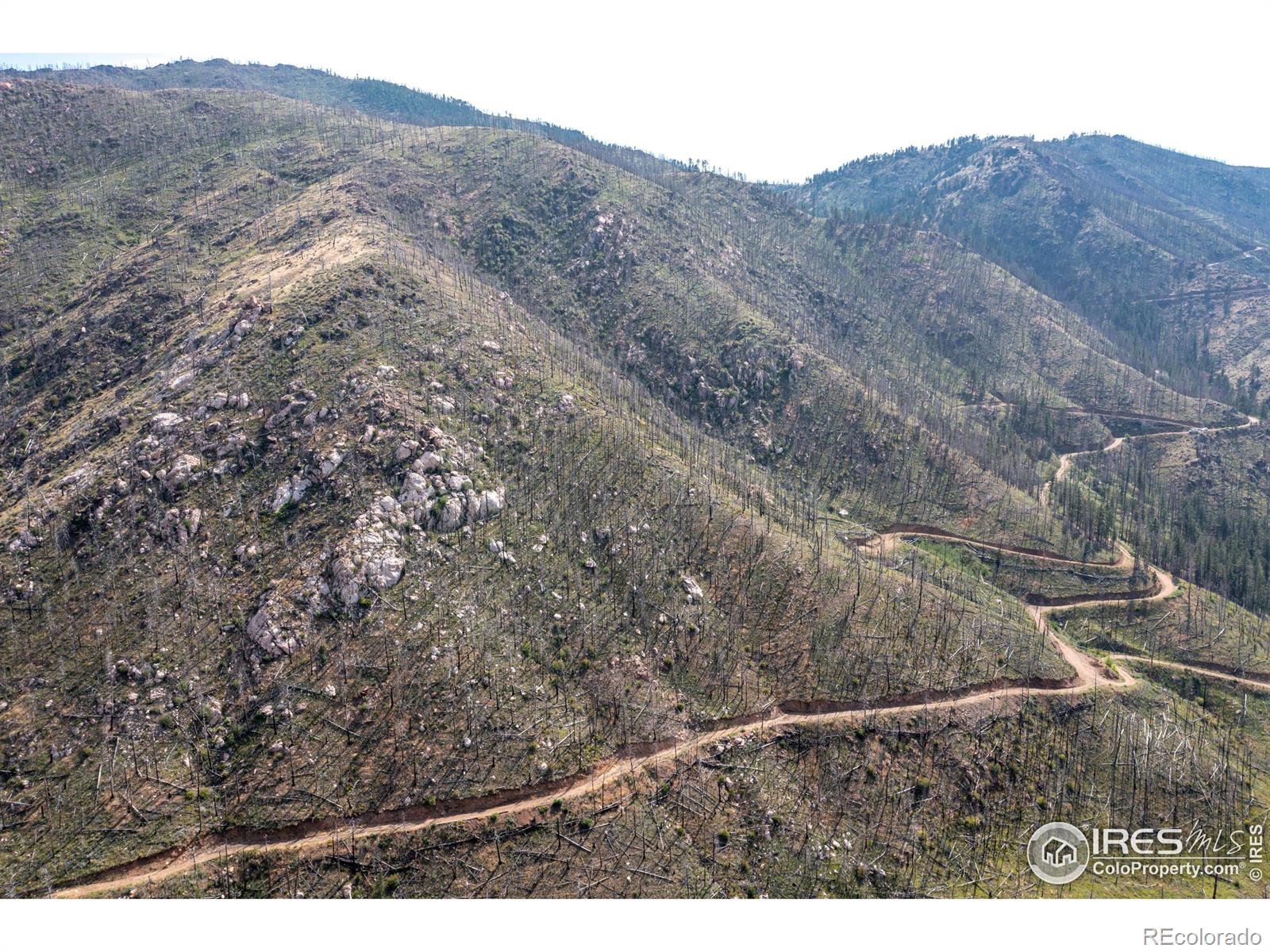 0 Tbd Stratton Park Lot 9 13 Rd, Bellvue, CO 80512