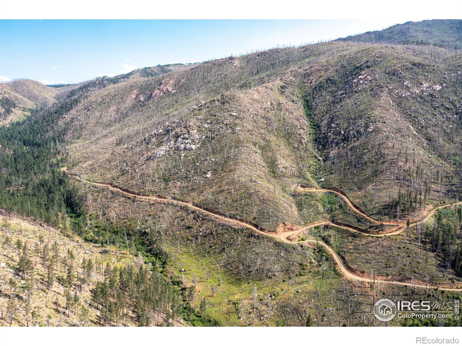 0 Tbd Stratton Park Lot 9 13 Rd, Bellvue, CO 80512