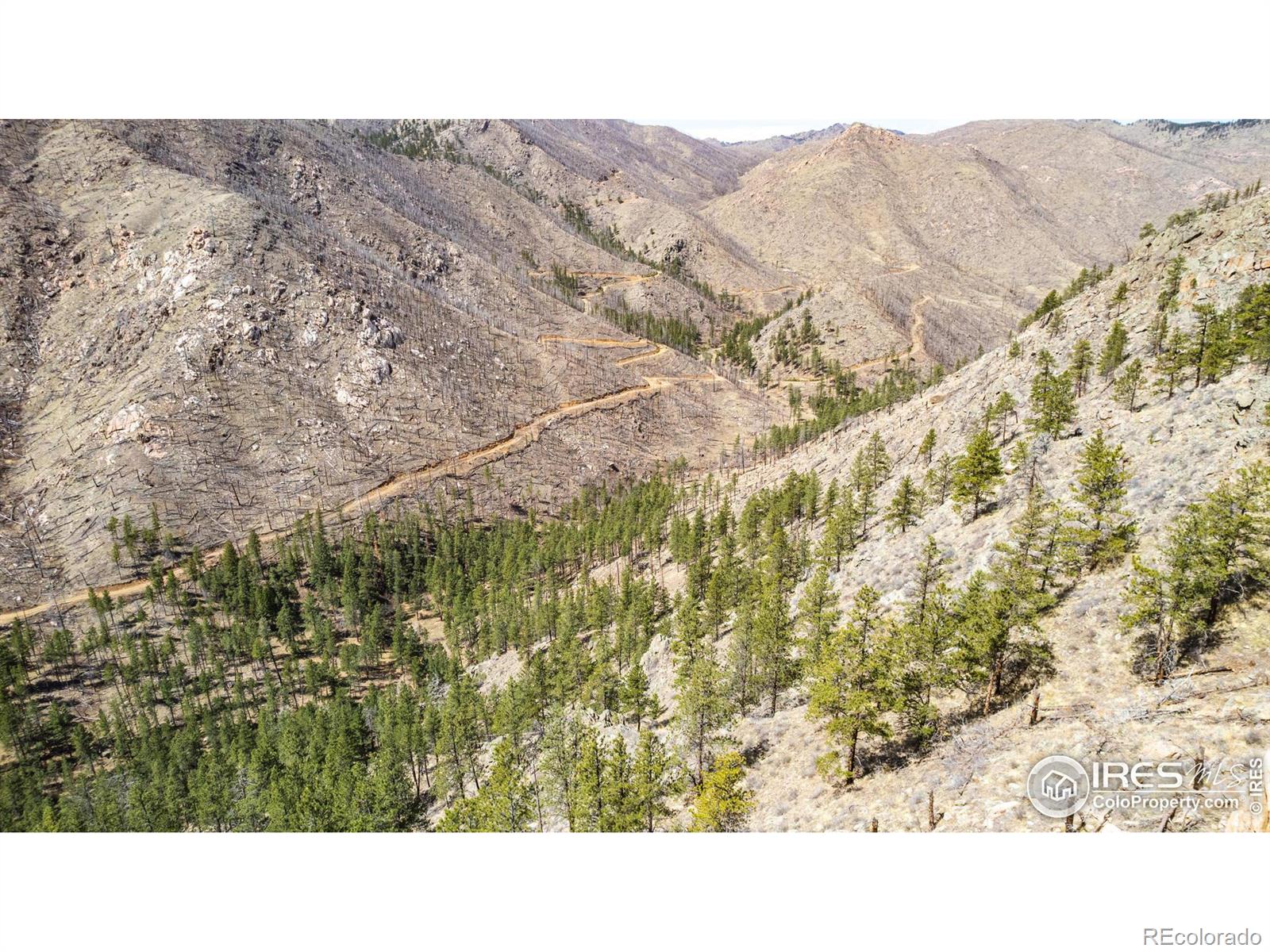 0 Tbd Stratton Park Lot 9 13 Rd, Bellvue, CO 80512
