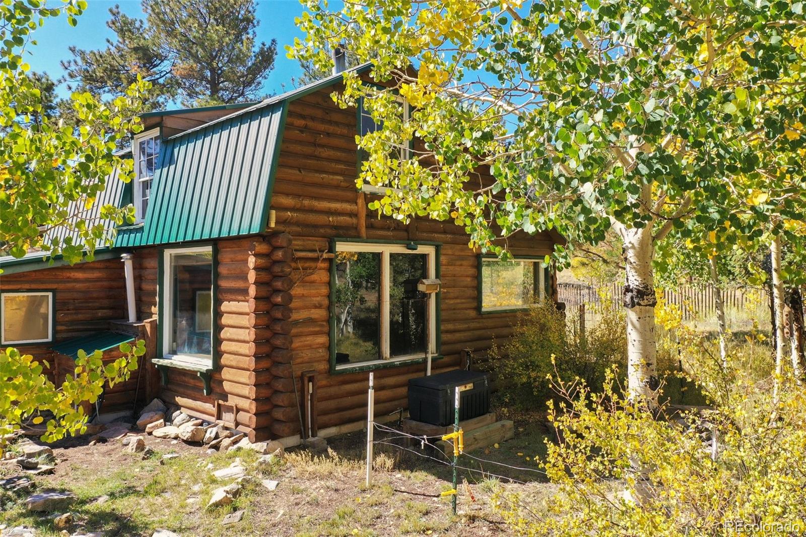 2550 Webber Park Dr, Lake George, CO 80827