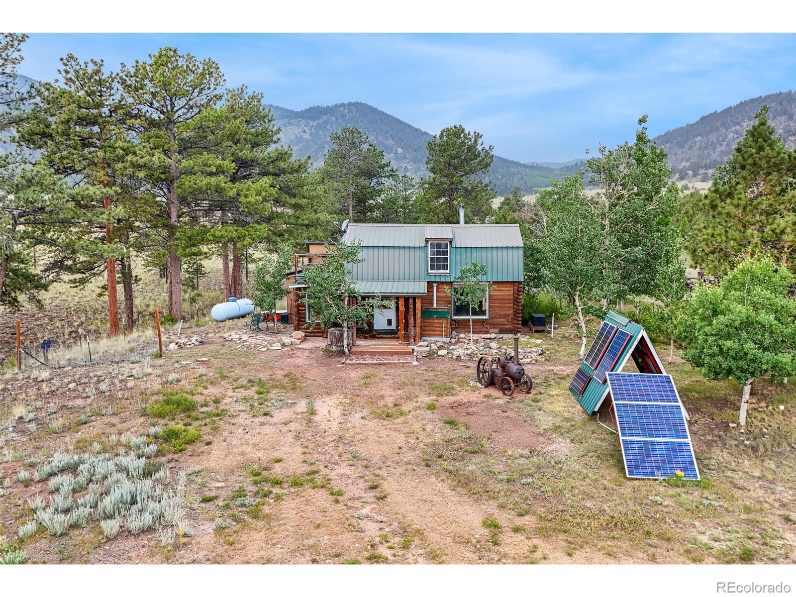 2550 Webber Park Dr, Lake George, CO 80827
