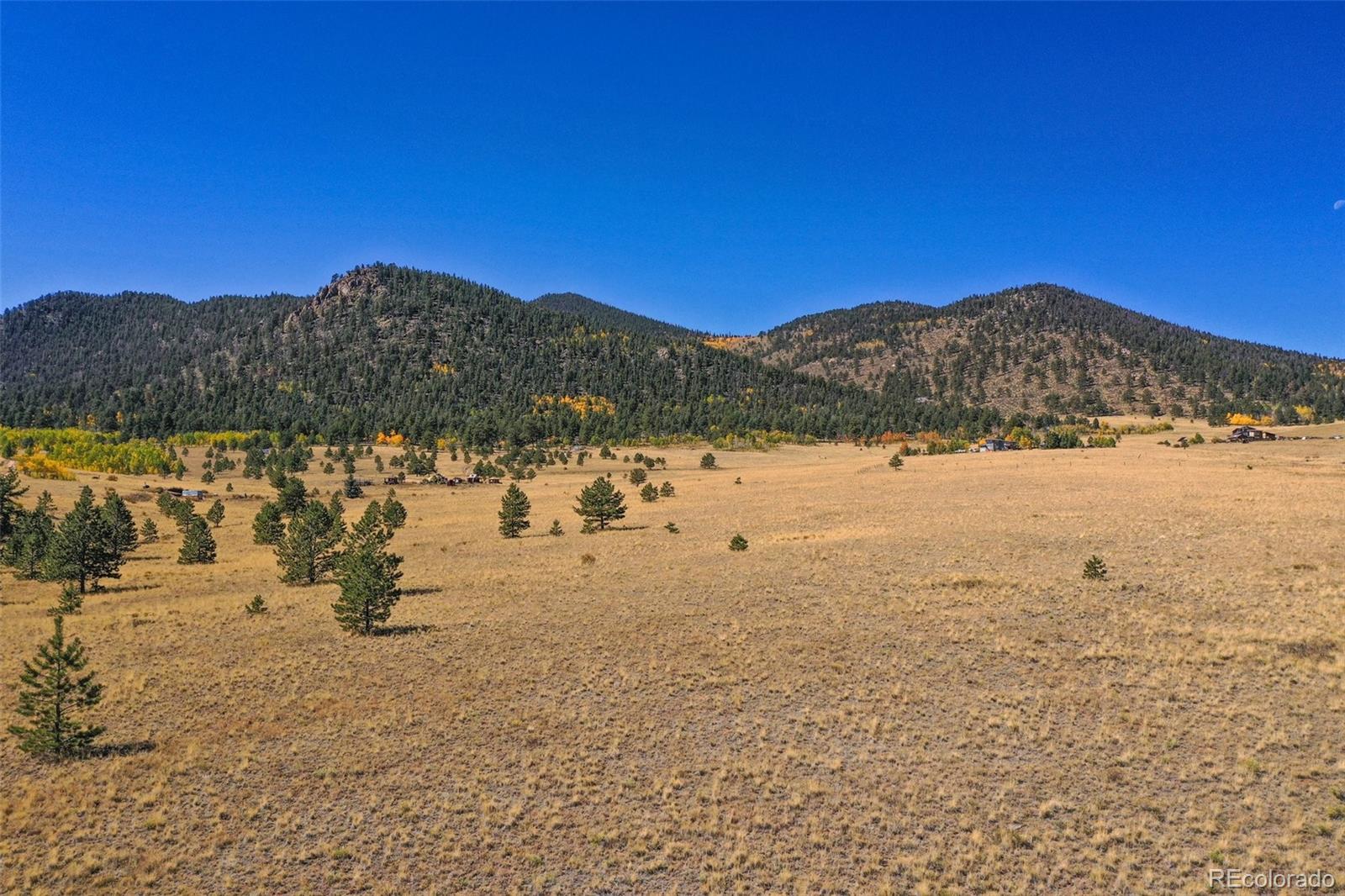 2550 Webber Park Dr, Lake George, CO 80827