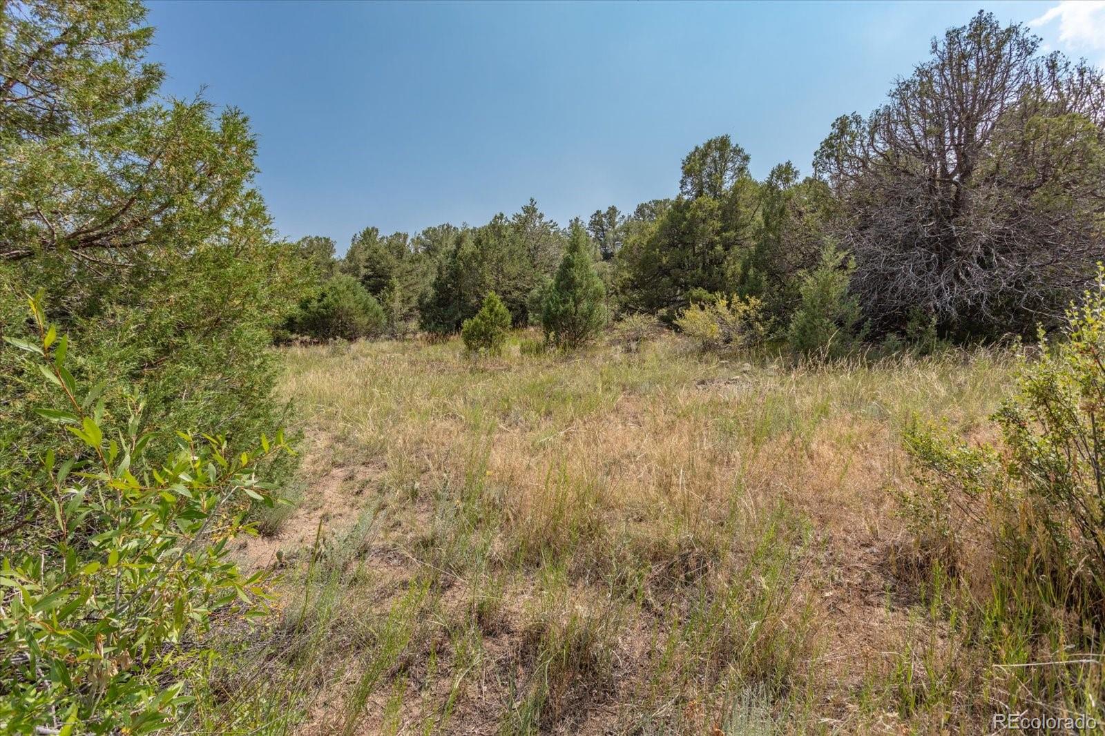 7925 Cozart Ln, Salida, CO 81201