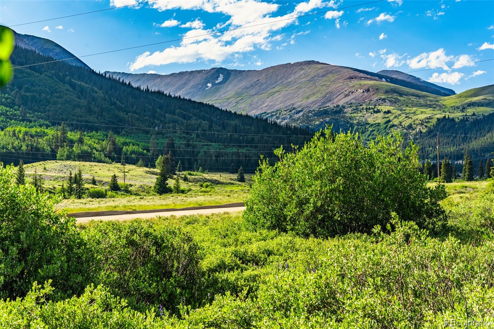 1772 Cr 4, Alma, CO 80420