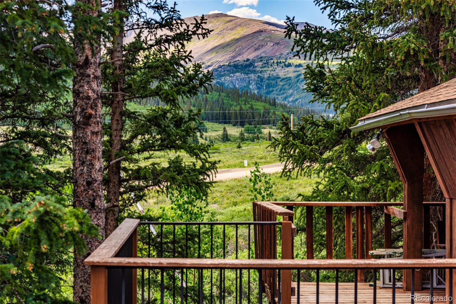 1772 Cr 4, Alma, CO 80420