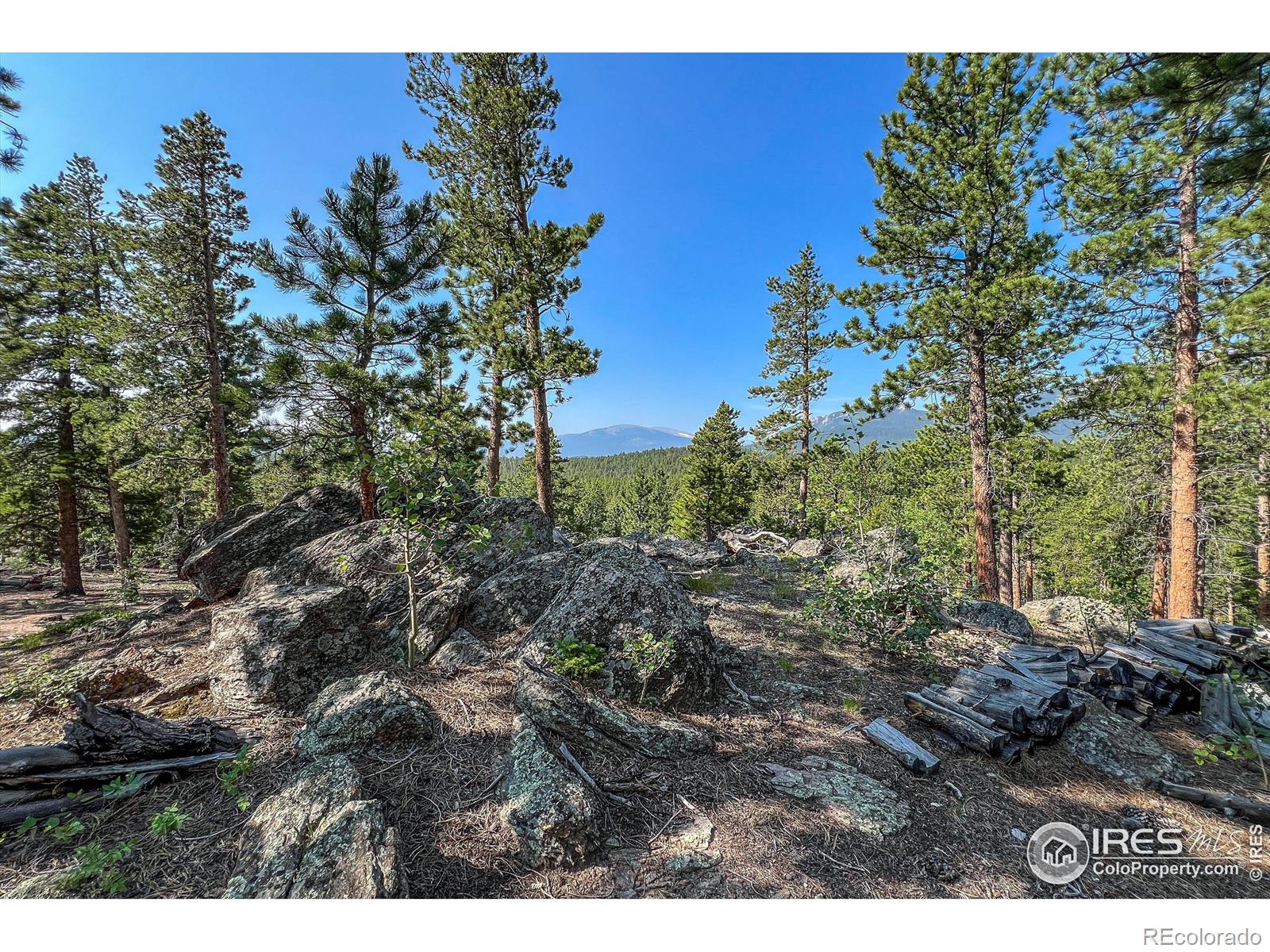 1930 Big Owl Rd, Allenspark, CO 80510