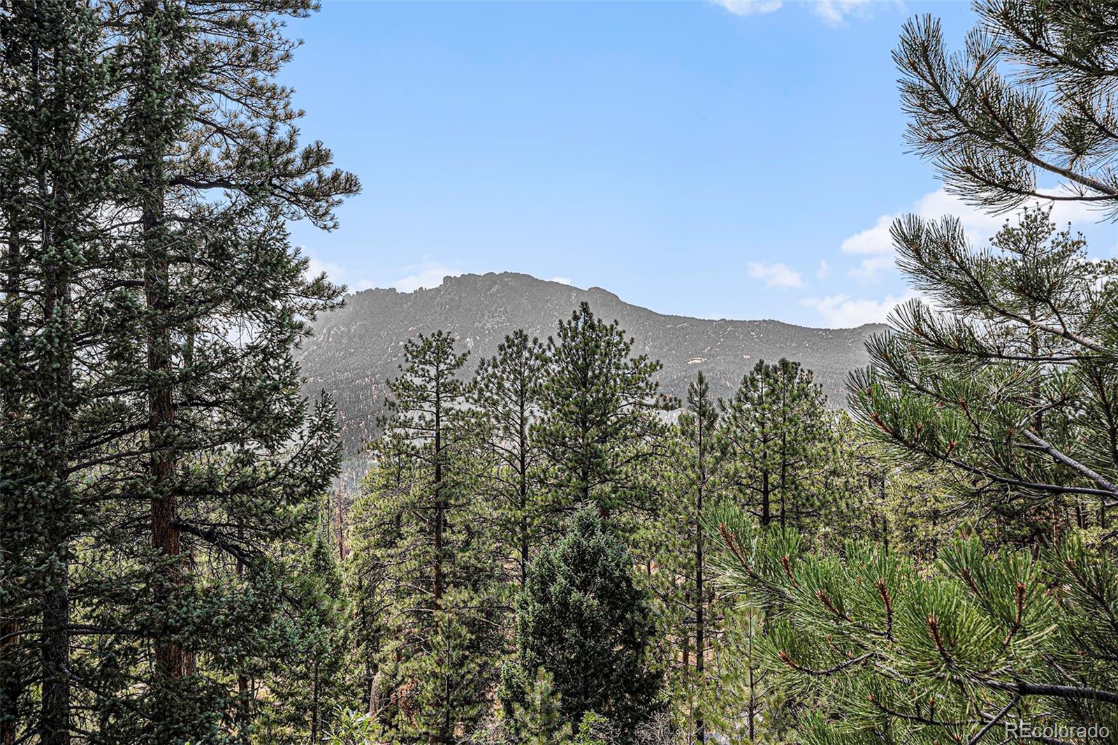 14217 Nighthawk Pl, Sedalia, CO 80135