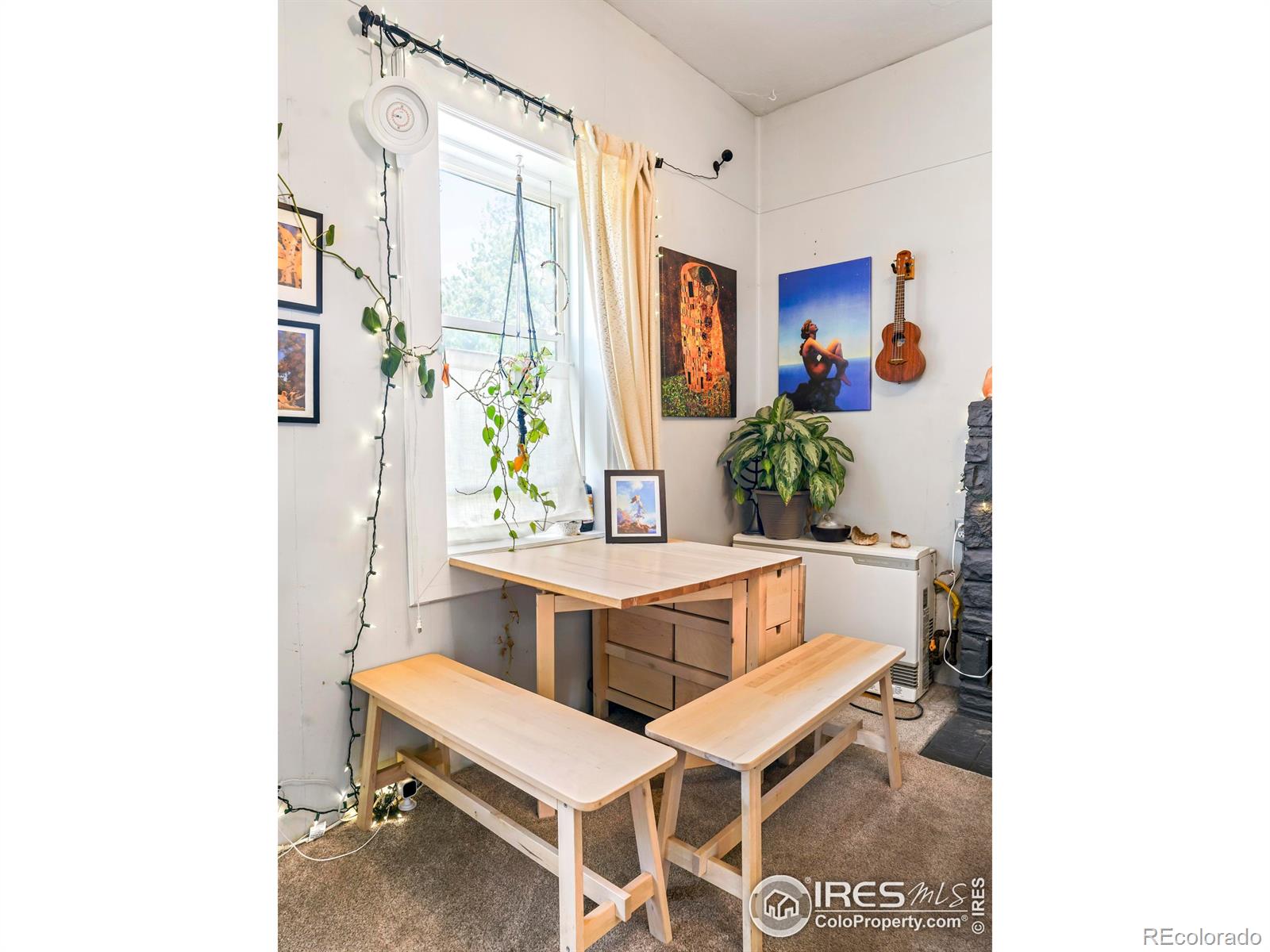 255 S Jackson St, Nederland, CO 80466
