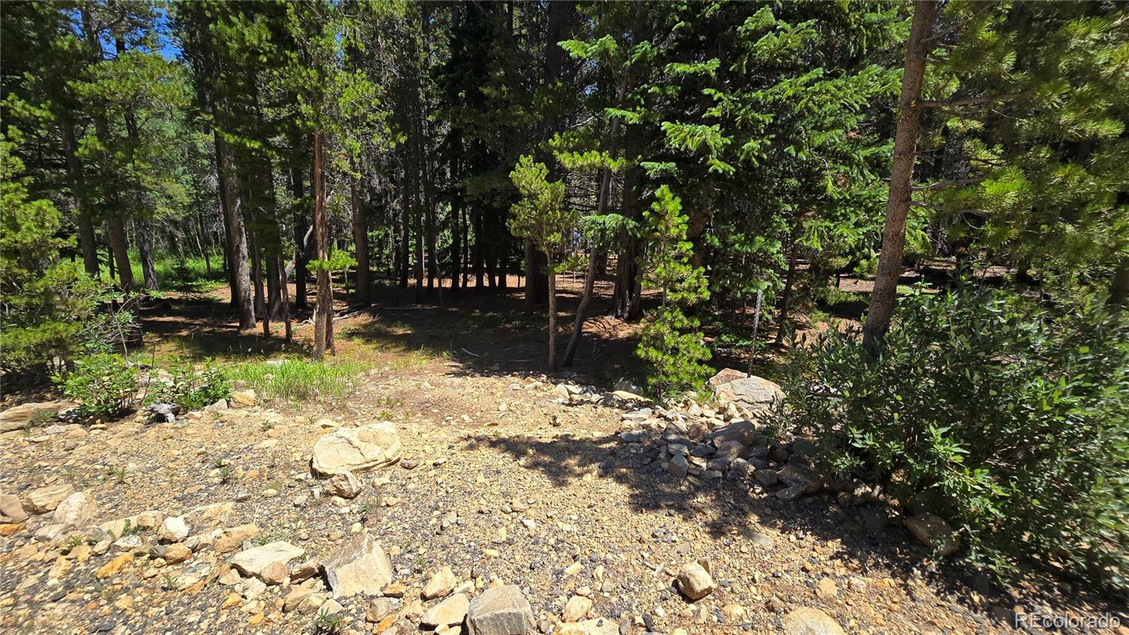 Deer, Idaho Springs, CO 80444
